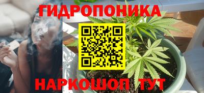 амф Заволжье