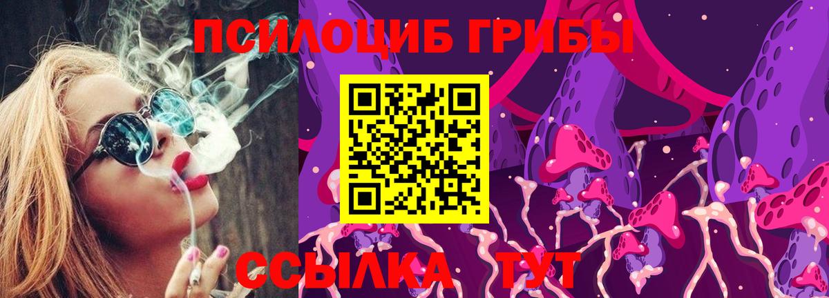 Кулебаки  Галлюциногенные грибы Psilocybine cubensis  купить наркоту  Вход с VPN 